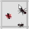 Demo Image